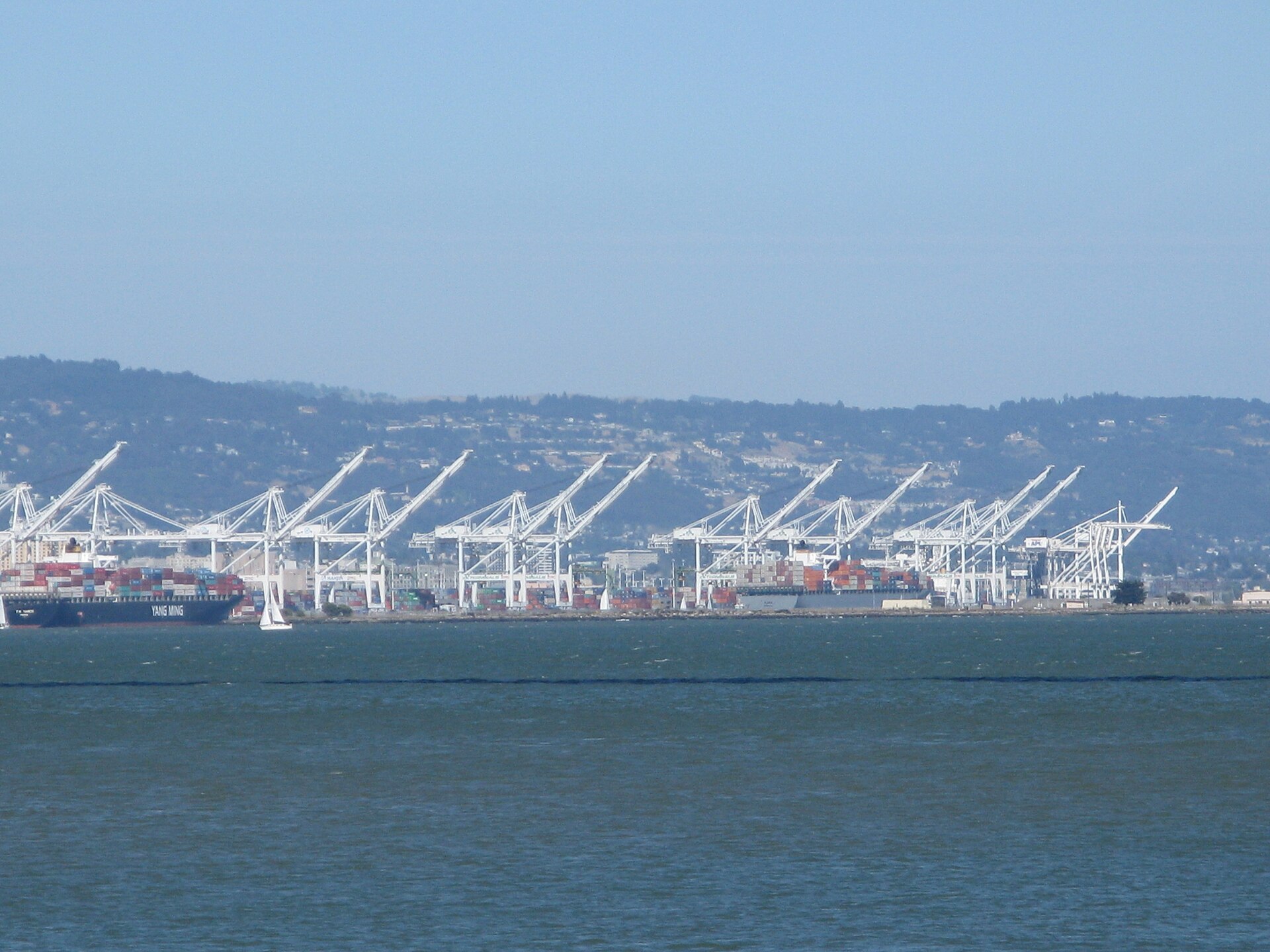 Container cranes in active terminal operations